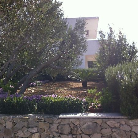 Apartman Stulic Makarska Exterior photo