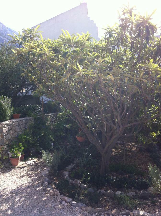 Apartman Stulic Makarska Exterior photo